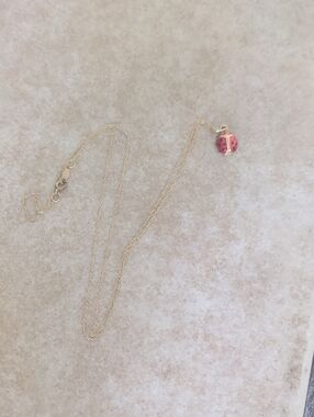 10k Gold Chain Necklace with Red Ladybug Charm
